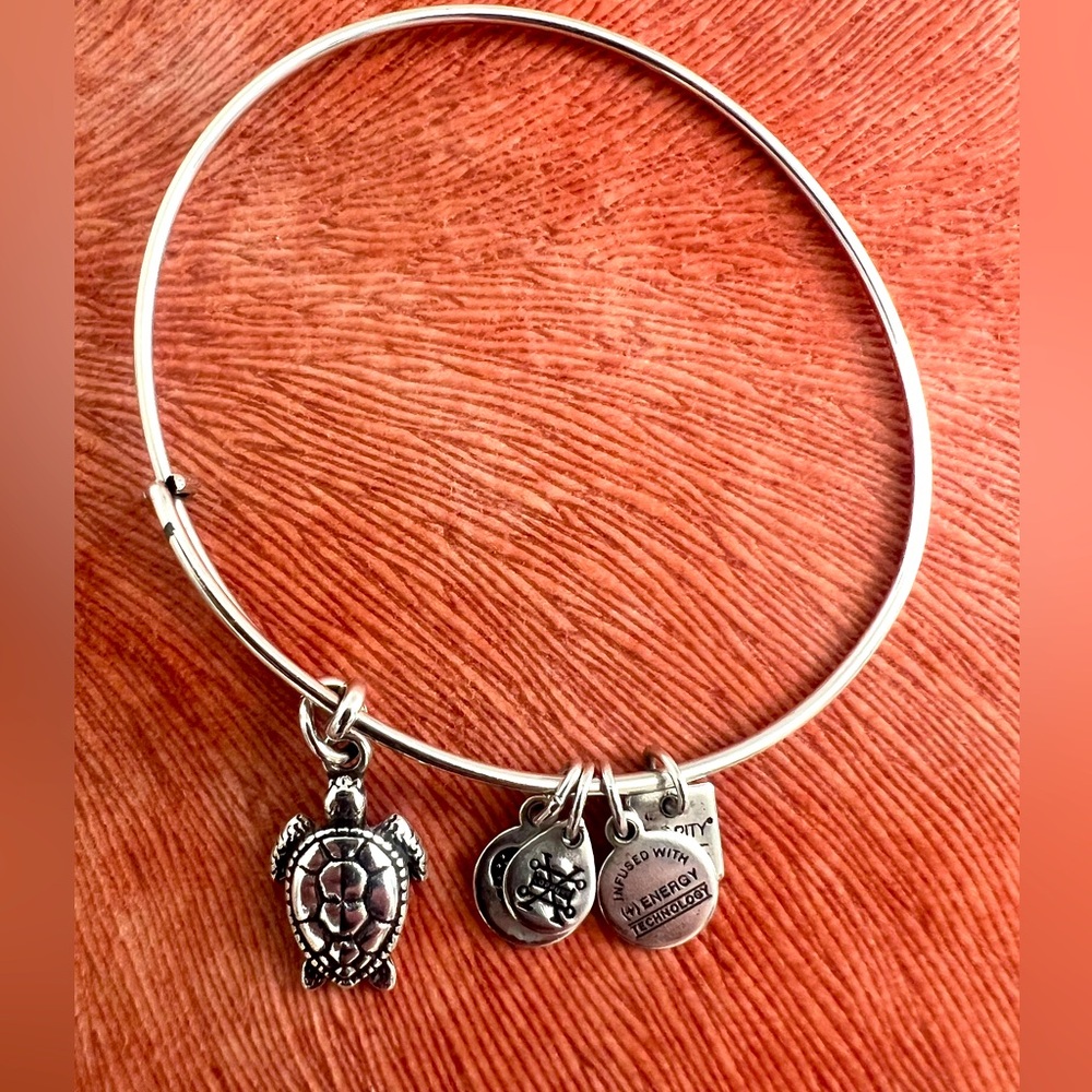 Alex and Ani sea turtle bracelet